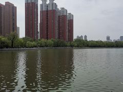 -迎泽公园