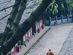 -中国观音故里广德景区