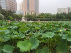 -黄兴公园