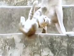 -昆明动物园