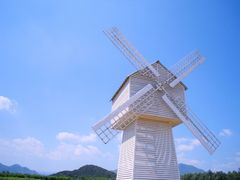 -北京东方普罗旺斯薰衣草庄园