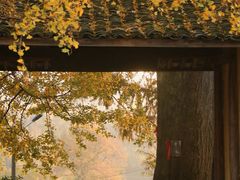 -莫干山风景区