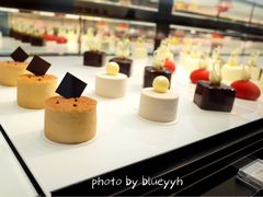 -BLACKSWAN黑天鹅(环球店)