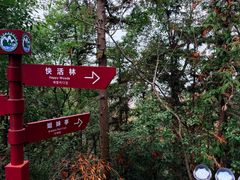 -云碧峰国家森林公园