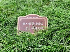 -普陀山雷迪森庄园