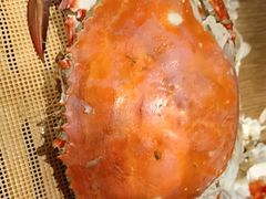 -土灶台海鲜聚·天津菜(新港店)