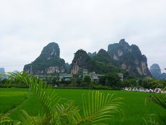 -明仕田园