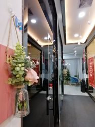 -DEM缔怡美科技美容