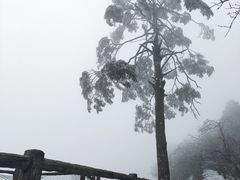 -峨眉山风景名胜区