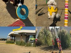 -阳澄湖半岛旅游度假区