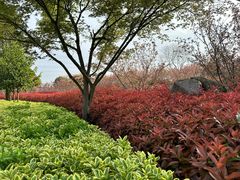-嬉乐湾休闲旅游区