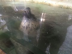 -厦门海底世界