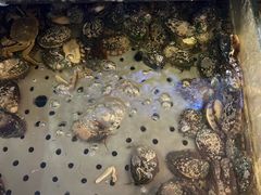 -福禧荟·海鲜自助
