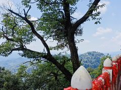 -青城山