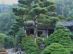 -南山植物园