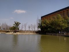 -田园东方蜜桃村的田野营地
