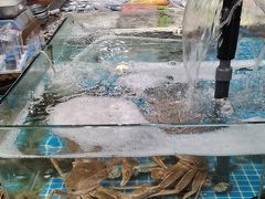 -和源祥·日照菜扛把子(万平口一店)