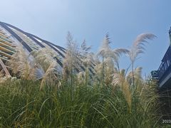 -中国天府农业博览园