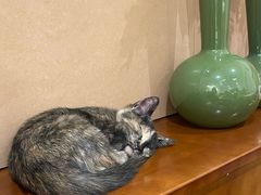 -大象厨房(重庆道店)