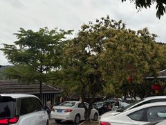 -满記土窑烧鷄波浪山莊