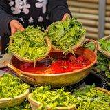 上海也能实现豌豆尖自由了！还有超好吃的春鸡脚♥️