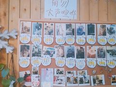-猫色咖啡·猫咖