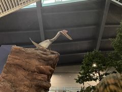 -湖南省地质博物馆