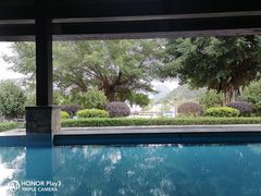 -英德宝晶宫天鹅湖茶语温泉