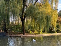 -洛阳市隋唐城遗址植物园