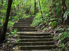 -海南热带雨林国家公园吊罗山景区