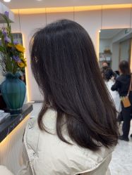 -YESIDO椰岛造型