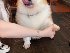 -肥朵食堂(带梦胡同店)