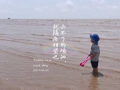 -南汇嘴观海公园