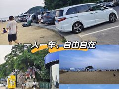-棒棰岛宾馆景区
