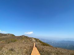 -白草畔自然风景区