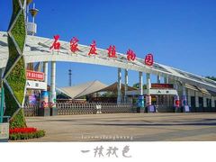 -石家庄市植物园