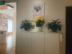 -SILKTONE诗丽堂美容