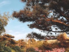 -郑州银基黄帝宫御温泉