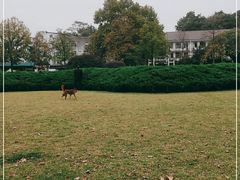 -鼓楼(西湖风景名胜区)