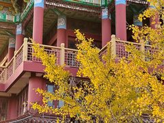 -川沙古镇-停车场