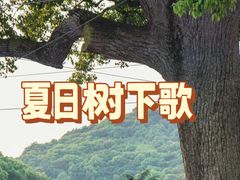 -杭州宋城