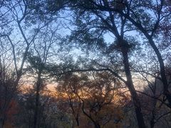 -北京鹫峰国家森林公园