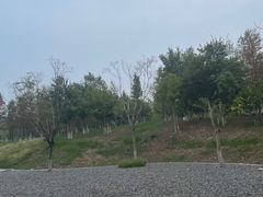 -金海湾滨江公园