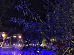-喜运来大酒店温泉