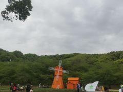 -苏州上方山国家森林公园