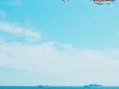 -三亚亚龙湾红树林度假酒店