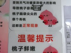 -老袁家蜜桃农场·阳山水蜜桃