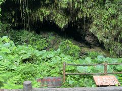 -海口火山口国家地质公园
