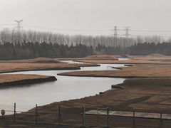 -溱湖国家湿地公园