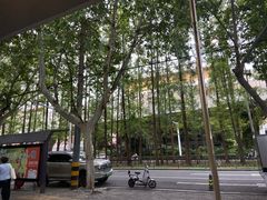 -苗姑酒堂(仁义社区店)